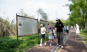 桤木河畔播种绿色未来：一堂沉浸式水生态课如何让SDGs在孩子心中扎根