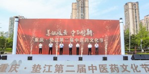 第二届中医药文化节在重庆盛大启幕