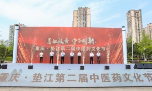 第二届中医药文化节在重庆盛大启幕